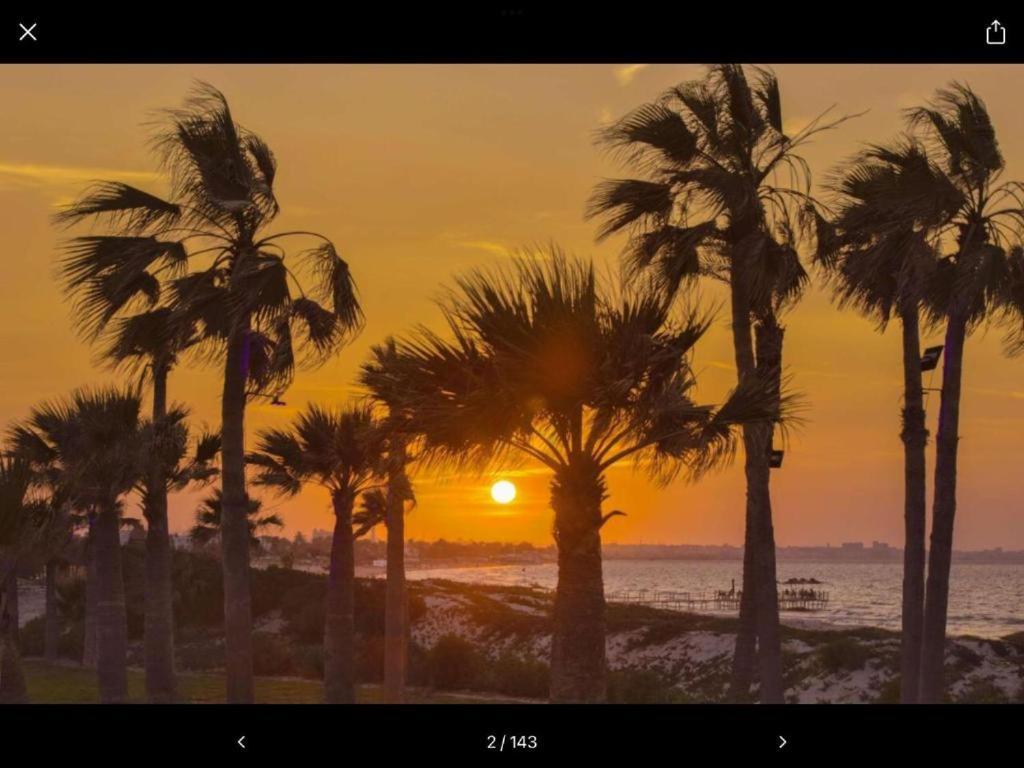 Folla Palm Appartamento